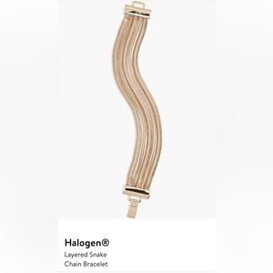 Halogen Layered Snake Chain Bracelet